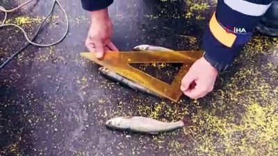 sosyal paylasim sitesi -  Jandarma Bot Timleri görevde Videosu