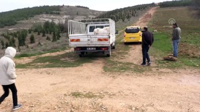 saglik teknisyeni - Ormana kaçan 'Doru'yu yavrusu 'Pamuk' çiftliğe döndürdü - GAZİANTEP  Videosu
