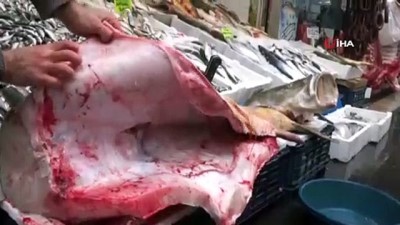 turna baligi -  Keban Barajı’nda 92 kilogramlık turna balığı yakalandı  Videosu