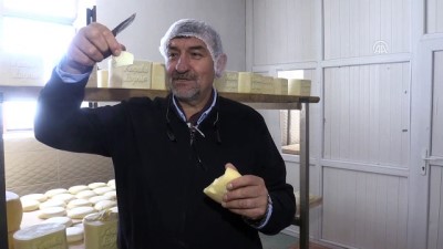 'Malakan peyniri' yeniden gün yüzüne çıkartıldı - KARS 