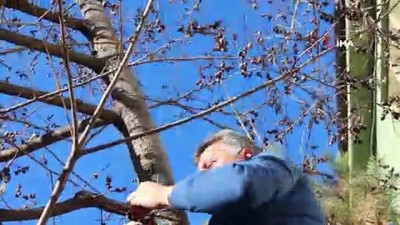 uvez -  Erzurum'da kış, ilçesi Olur'da bahar havası Videosu