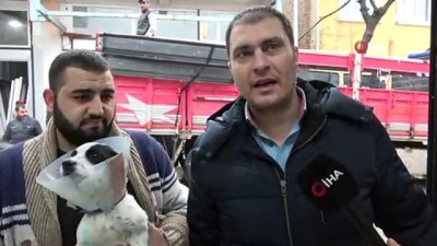 helal -  O sürücüyle köpeğin sahibi buluştu  Videosu