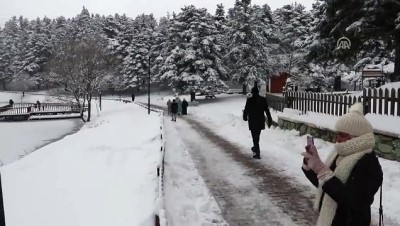 buz tutan gol - Gölcük Gölü buz tuttu - BOLU Videosu