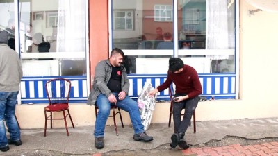 mahalle muhtarligi - Hayvansever muhtar sevimli dostlar için sokak sokak dolaşıyor - TUNCELİ  Videosu