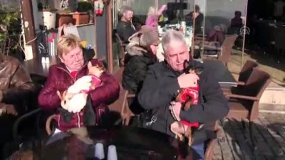ingilizler - Sokak hayvanları için kış ortasında denize girdiler - AYDIN Videosu