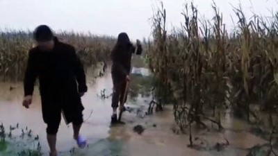 dogal yasam alani - Güneydoğu'da sağanak (2) - GAZİANTEP Videosu