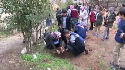 dersim -  Hadis-i Şerif'ten etkilenen öğrenciler okulun bahçesine fidan dikti  Videosu