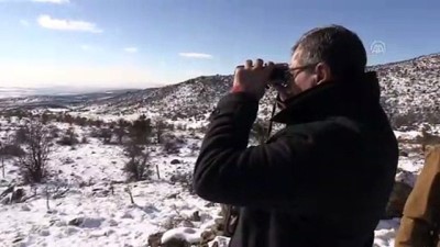 Uşak'ta yılkı atları için doğaya yem bırakıldı