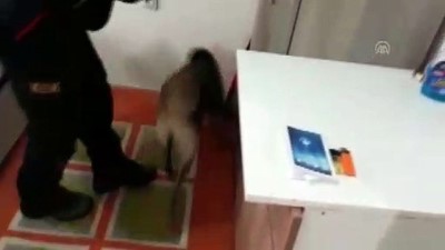 Uyuşturucu operasyonu - UŞAK