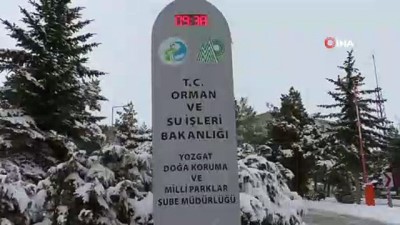 buz sarkitlari -  Yozgat’ta göletler dondu, yamaçlarda sarkıtlar oluştu  Videosu