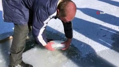 buz kutlesi -  Çıldır Gölü buz tuttu  Videosu
