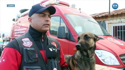 Hayat Kurtaran Köpekler