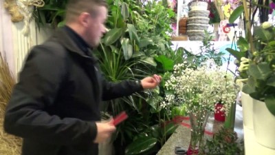 yilbasi -  Yeni yıl öncesi en çok satılan çiçek Kokina Videosu