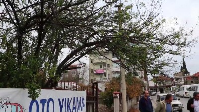 Erik ağacı meyve verdi - MUĞLA