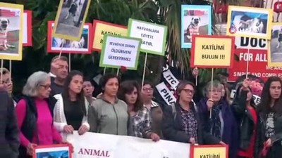 hayvan severler -  Fethiye'de iki köpeğin zehirlenerek öldürülmesi protesto edildi Videosu