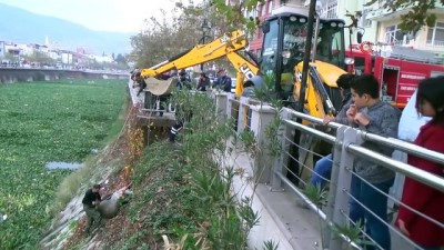 buyukbas hayvan -  Hatay’da Asi Nehri’ne düşen inek telef oldu Videosu