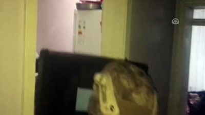 uyusturucu - 'Torbacı' operasyonda 7 şüpheliden 3'ü tutuklandı - GAZİANTEP Videosu