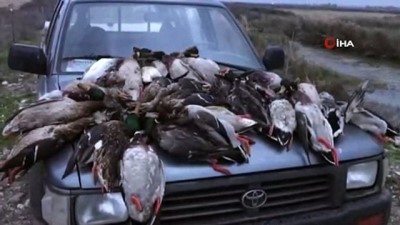 kacak -  - Kuş Cenneti'nde ördek katliamı Videosu