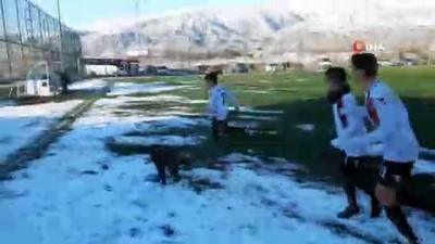  Sahaya giren köpek renkli görüntüler oluşturdu 