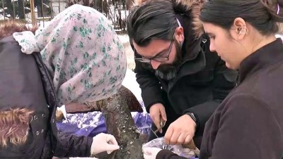 Ağa takılan tarihi çapa su altına ışık olacak - DÜZCE 