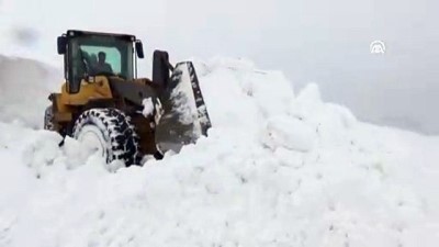 Doğu Anadolu'da kış - MUŞ 