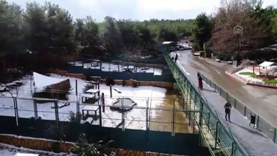 hayvanat bahcesi - Gaziantep Hayvanat Bahçesi sakinlerinin kar keyfi Videosu