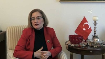 diplomat - 'Gürcistan hem stratejik ortağımız hem de akraba ülkemiz' - TİFLİS  Videosu