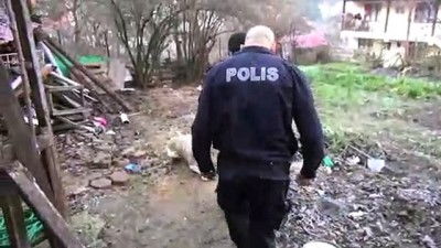 polis memuru - Polisin kucağında taşıdığı yaralı köpek iyileşiyor - ADANA  Videosu