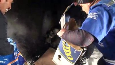 Sokak hayvanlarına yiyecek bırakıldı - HAKKARİ