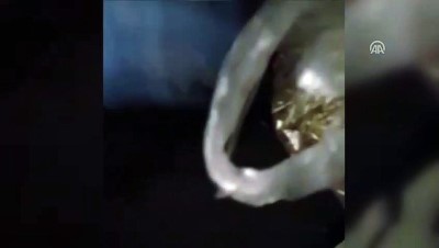 Uyuşturucu operasyonu - BURSA