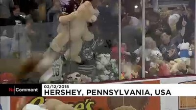 buz hokeyi maci - ABD'de buz hokeyi maçında sahaya rekor sayıda oyuncak ayı yağdı Videosu