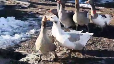 yagmurlu -  Ardahan'da kartpostallık görüntüleri...Beyaza bürünen Ardahan havadan görüntülendi  Videosu