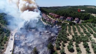 bolat -  Bursa'nın yanan ciğerlerine ilk fidanı Bakan Pakdemirli dikecek  Videosu