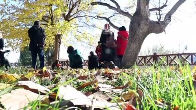 gunesli hava - Diyarbakır'ın inanç ve kültür değerleri fotoğrafçıların gözdesi  Videosu