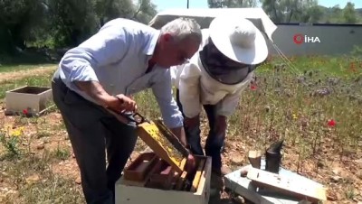 kuresel iklim degisikligi -  Türkiye'de arı ölümleri arttı  Videosu