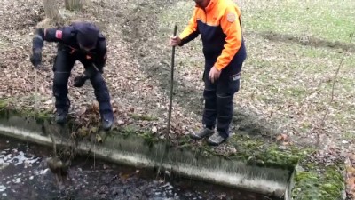 6 gün önce kaybolan kişi aranıyor - TOKAT 