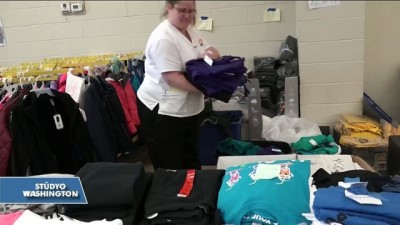 California'daki Yangınlarda Bilanço Ağır