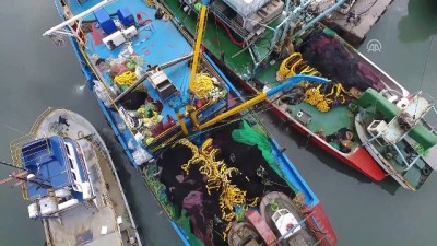 bismillah - Kastamonu'da hamsi bereketi Videosu