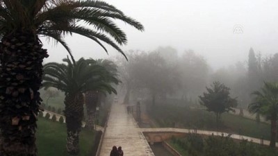 Yoğun sis - ŞANLIURFA 