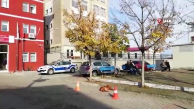  Adanalı dolandırıcılar sert kayaya çarptı 