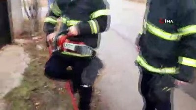  Kafası kapıya sıkışan köpek itfaiye tarafından kurtarıldı 