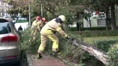 kirkoy -  Şiddetli rüzgar nedeniyle ağaç arabanın üstüne devrildi  Videosu