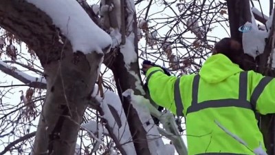mahsur kaldi -  Ağaçta mahsur kalan kediyi fabrika çalışanları kurtardı  Videosu