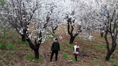 festival -  Datça beyaz gelinliğini giydi  Videosu