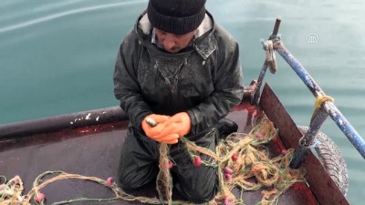 inci kefali - Van Gölü'nde 40 yıldır balık avlıyorlar - BİTLİS  Videosu