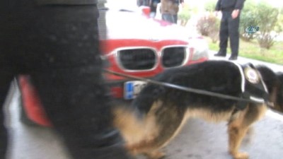  Eğitimdeki polis köpekleri görev için hazırlanıyor 