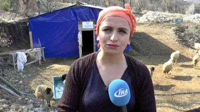 hukumet -  Köyüne döndü, devlet desteği ile sürü sahibi oldu  Videosu