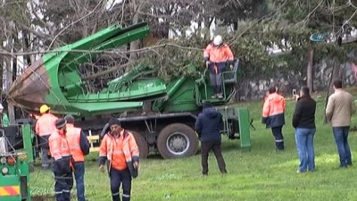 - Maçka Parkındaki ağaçlar sökülmeye başlandı 
