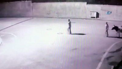 hirsiz -  Siverek’te inek hırsızları güvenlik kamerasında  Videosu