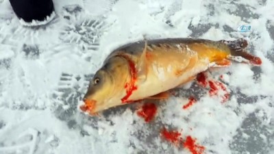 balik tutma -  Buz kırıp balık tuttular  Videosu